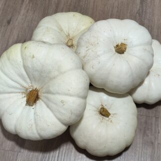 Flat White Boer Pumpkin - Cucurbita Maxima