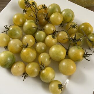 Yellow Cherry Tomatoes