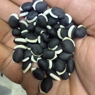 Sem/Lab Lab/Flat Beans/Valor Papdi