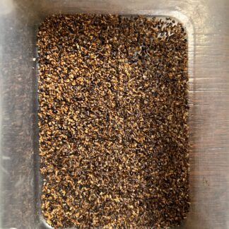 Eucalyptus Pauciflora – Snow Gum