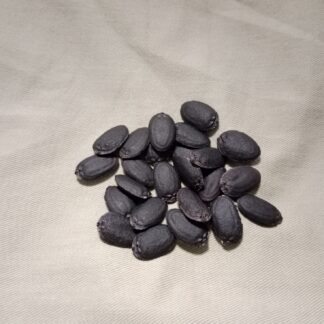 Luffa/loofah (Luffa Aegyptiaca)