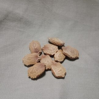 Bitter Melon (Momordica Charantia) - Chinese Style