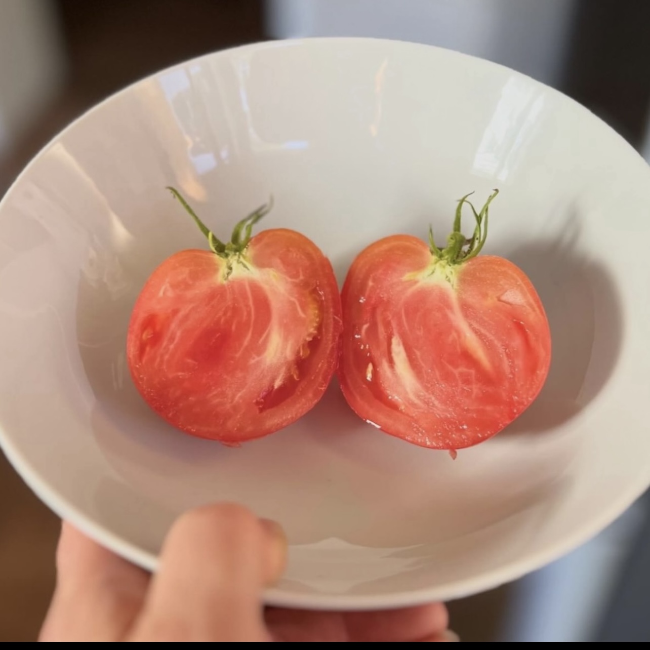 Hungarian Heart Tomato Hungarian Heart Tomato
