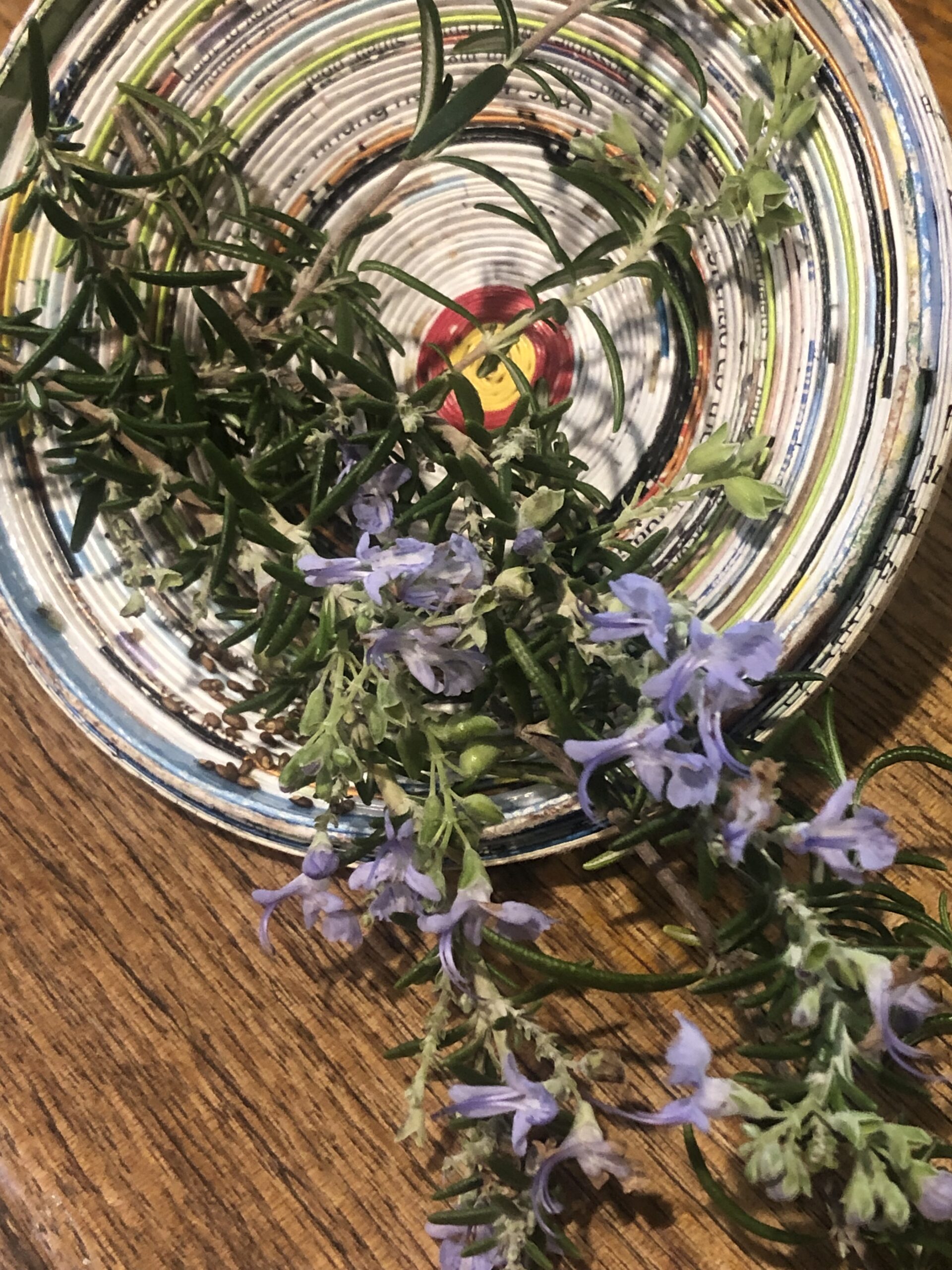 Rosemary Salvia Rosmarinus Rosemary Salvia Rosmarinus - Image 2