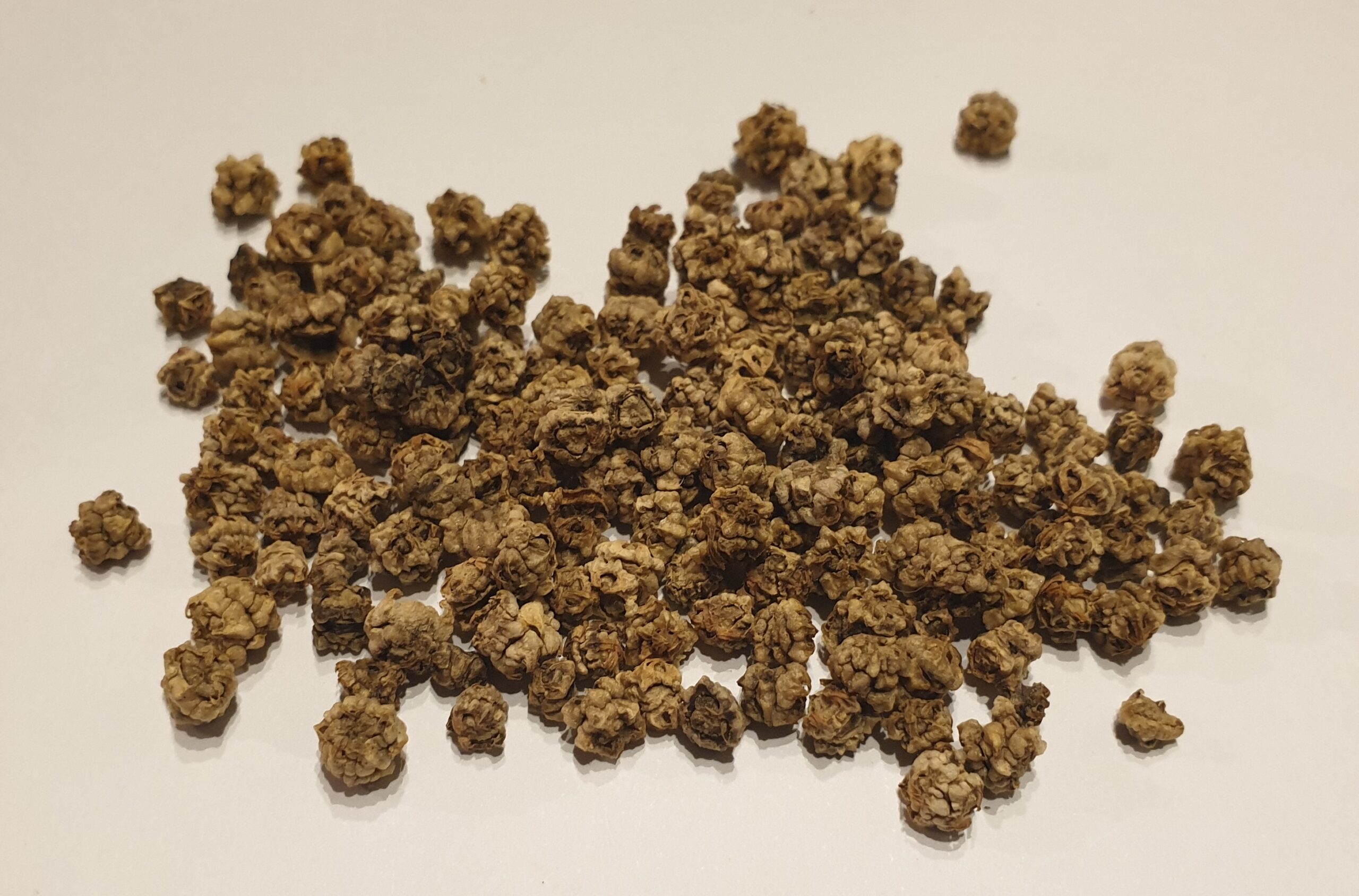 Perpetual Spinach Myrtle Mountain Organics