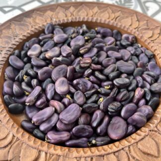 Home Broad Beans - Scarlet Cambridge