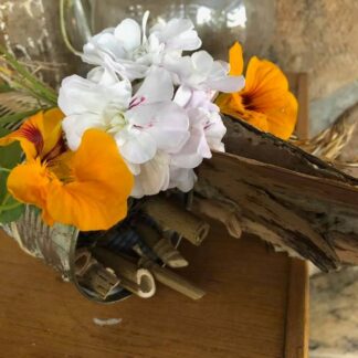 Home Nastursium Tropaeolum Majus Autumn Mix