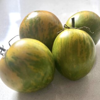 Home Tomato Green Zebra