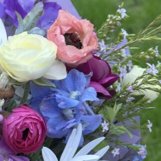 Home Deliphimum Clivedon Beauty