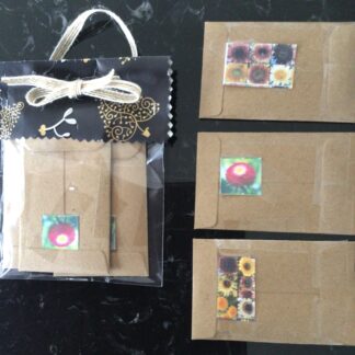 Mixed Sunflower + Aster Gusford (Christmas Seed Gift Packs)