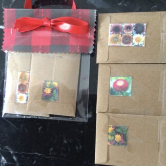 Sunflower Christmas Gift Pack