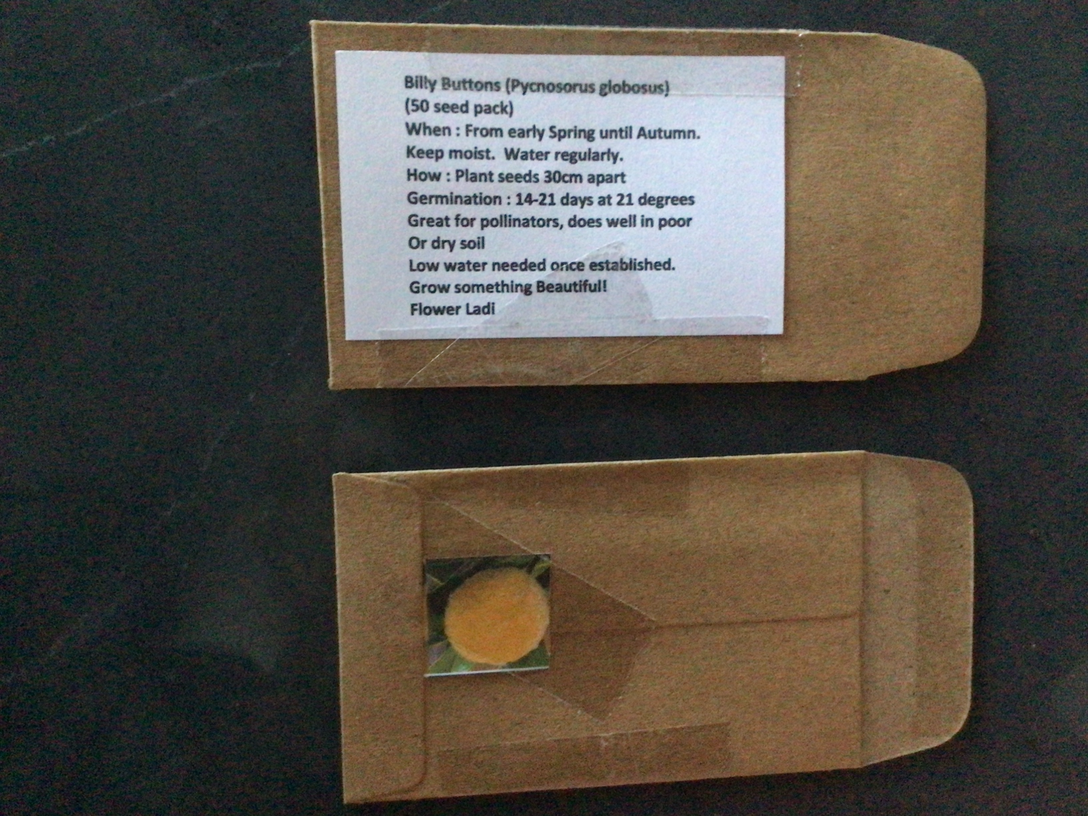 Billy Button Billy Button - Image 2