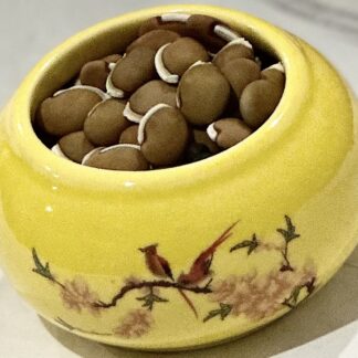 Indian Bean (Lablab Purpureus)