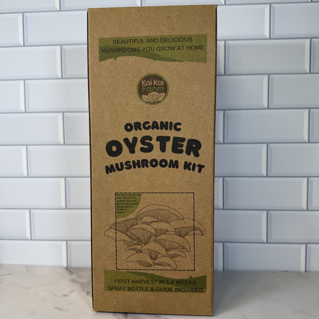 Organic Blue Shimeji Oyster Mushroom Grow Kit Organic Blue Shimeji Oyster Mushroom Grow Kit - Image 3