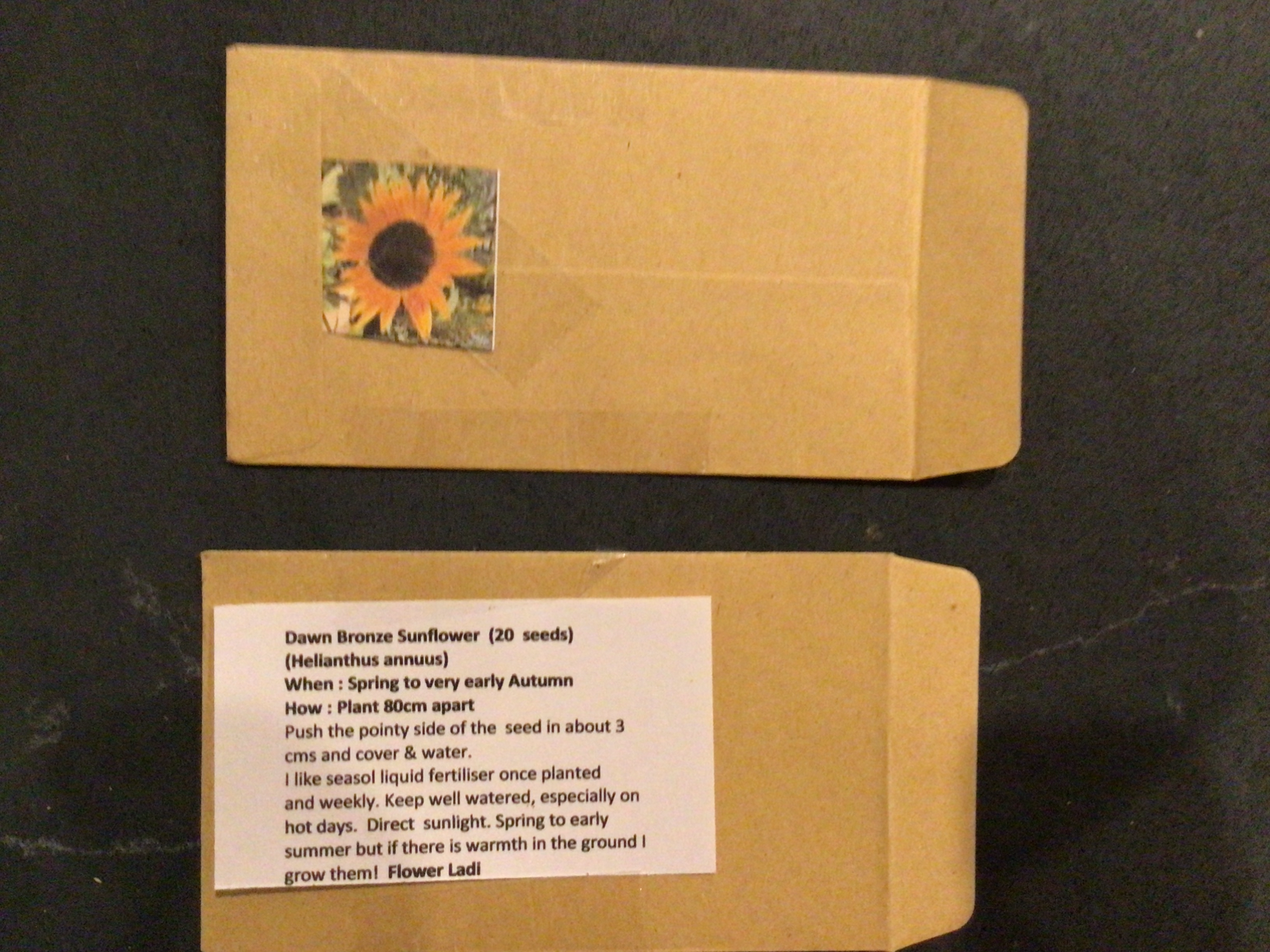 Chocolate Face Sunflower (free Marigold) Chocolate Face Sunflower (free Marigold) - Image 5