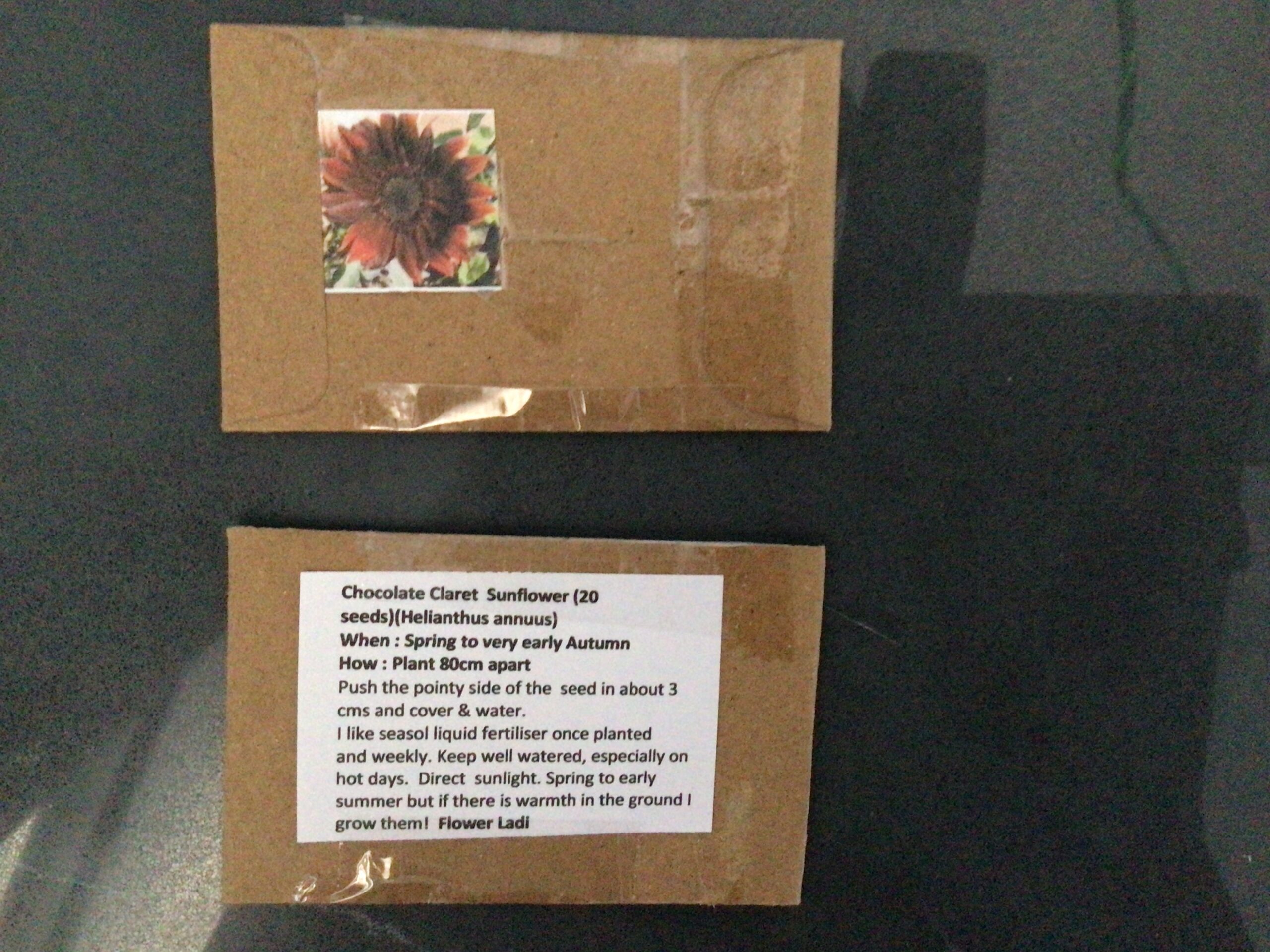 Chocolate Claret Sunflower (free Marigold) Chocolate Claret Sunflower (free Marigold) - Image 3