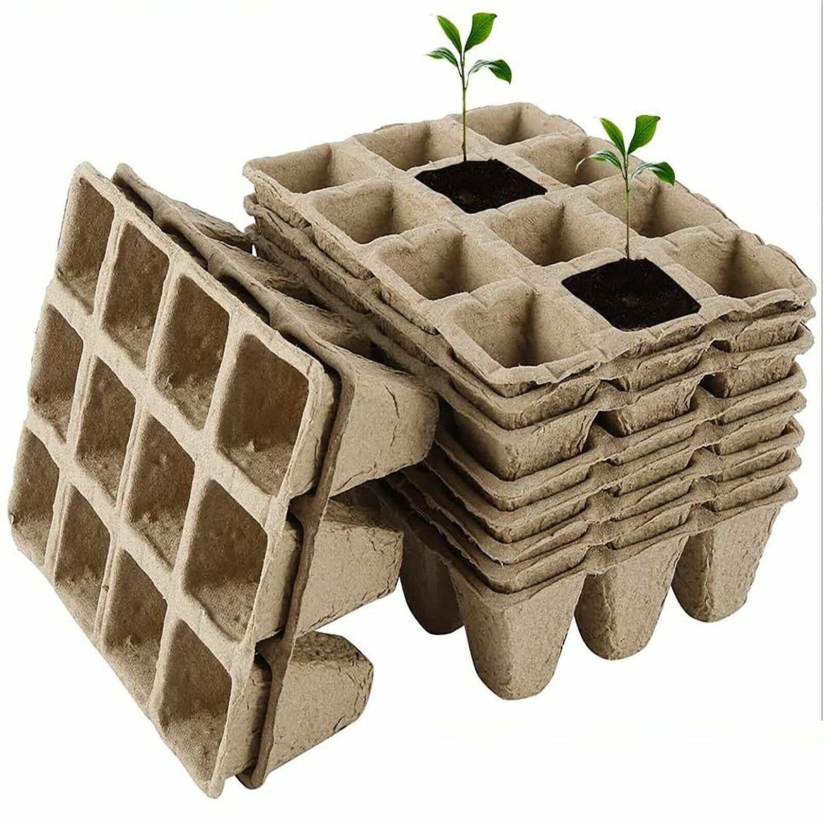 10pcs Biodegradable Seedling Trays 10pcs Biodegradable Seedling Trays - Image 4