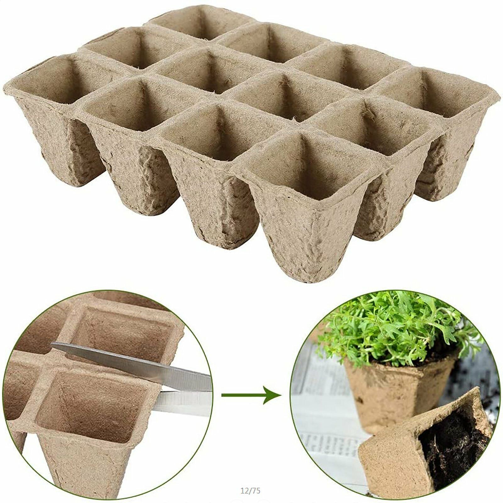10pcs Biodegradable Seedling Trays 10pcs Biodegradable Seedling Trays - Image 5