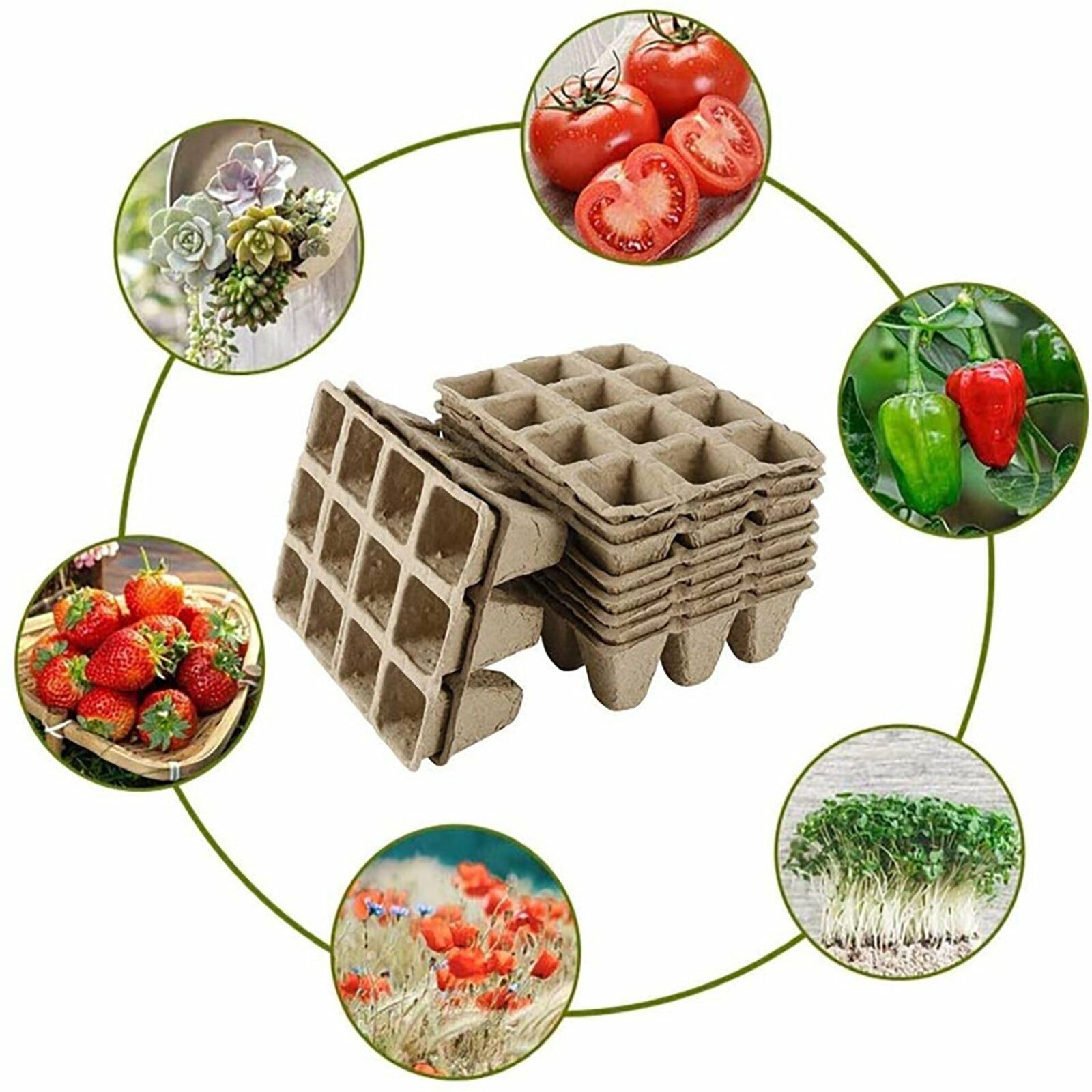 10pcs Biodegradable Seedling Trays 10pcs Biodegradable Seedling Trays - Image 6