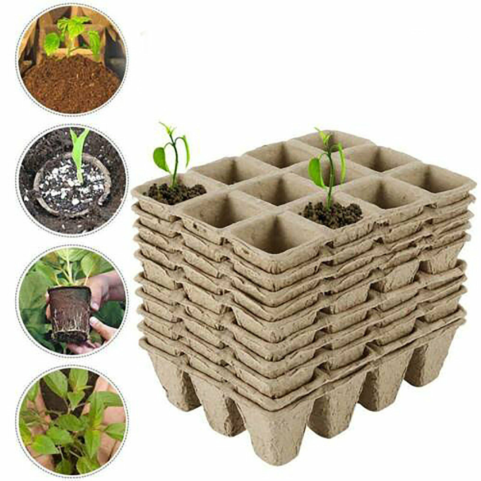 10pcs Biodegradable Seedling Trays 10pcs Biodegradable Seedling Trays - Image 7