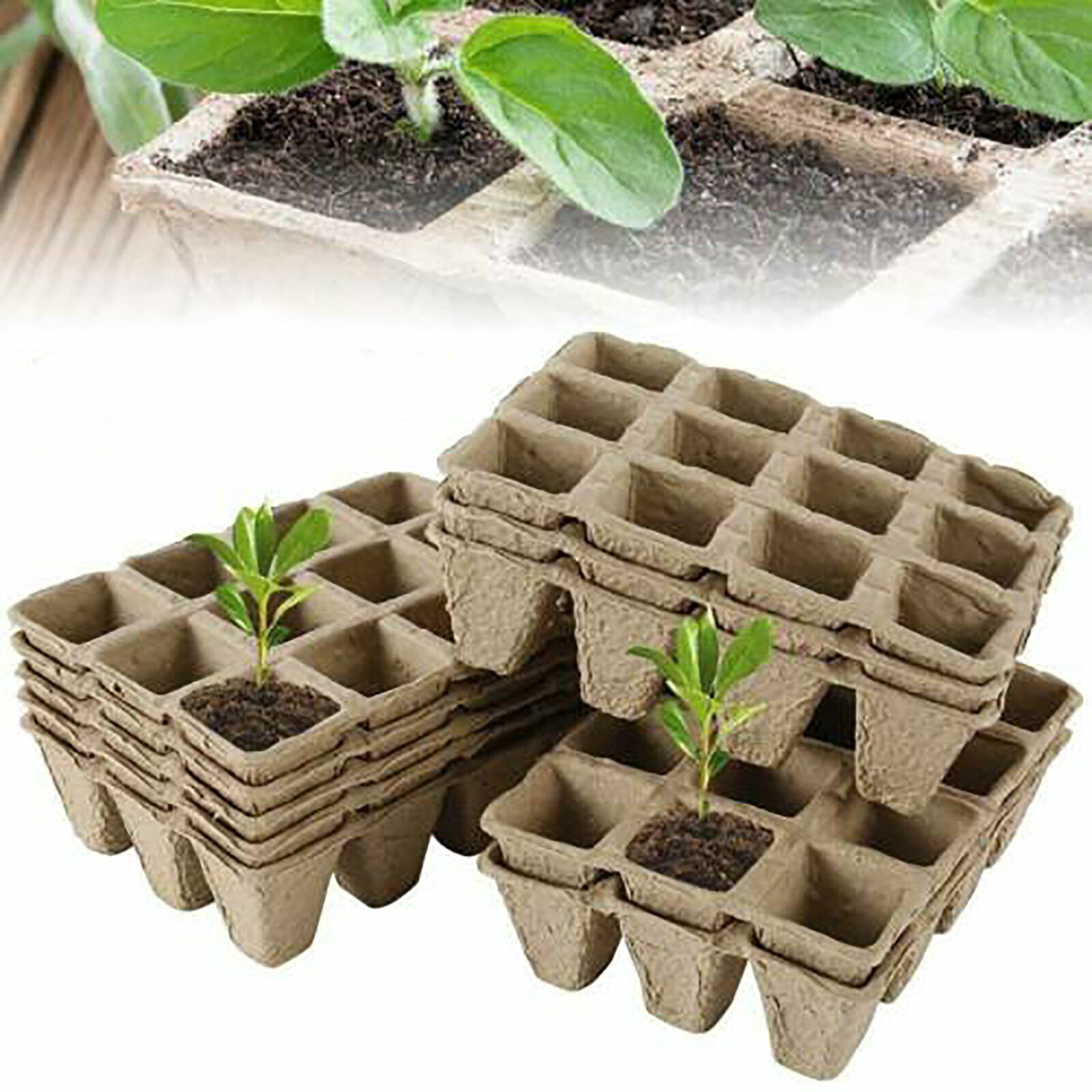 10pcs Biodegradable Seedling Trays 10pcs Biodegradable Seedling Trays - Image 9