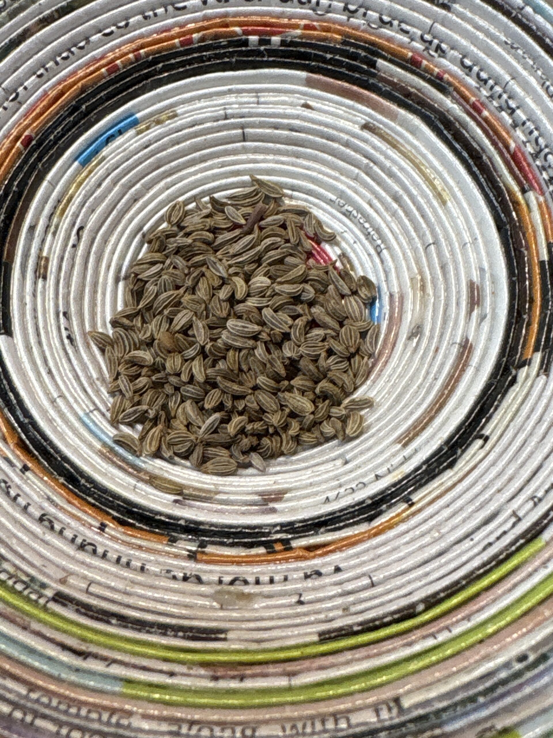 Italian Flat Leaf Parsley Bulk Italian Flat Leaf Parsley Bulk
