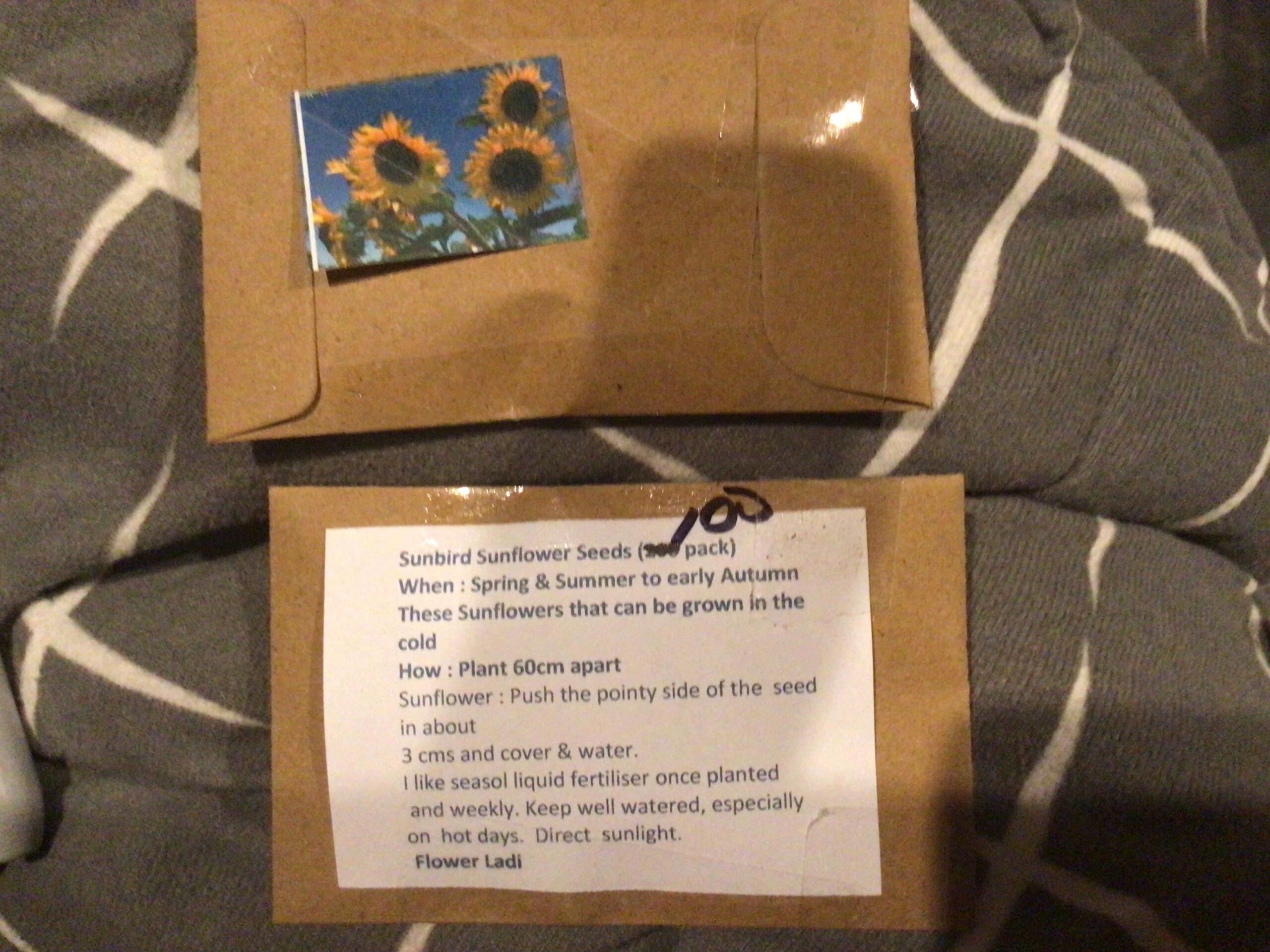 Sunbird Sunflower (100 Pack) Sunbird Sunflower (100 Pack) - Image 3