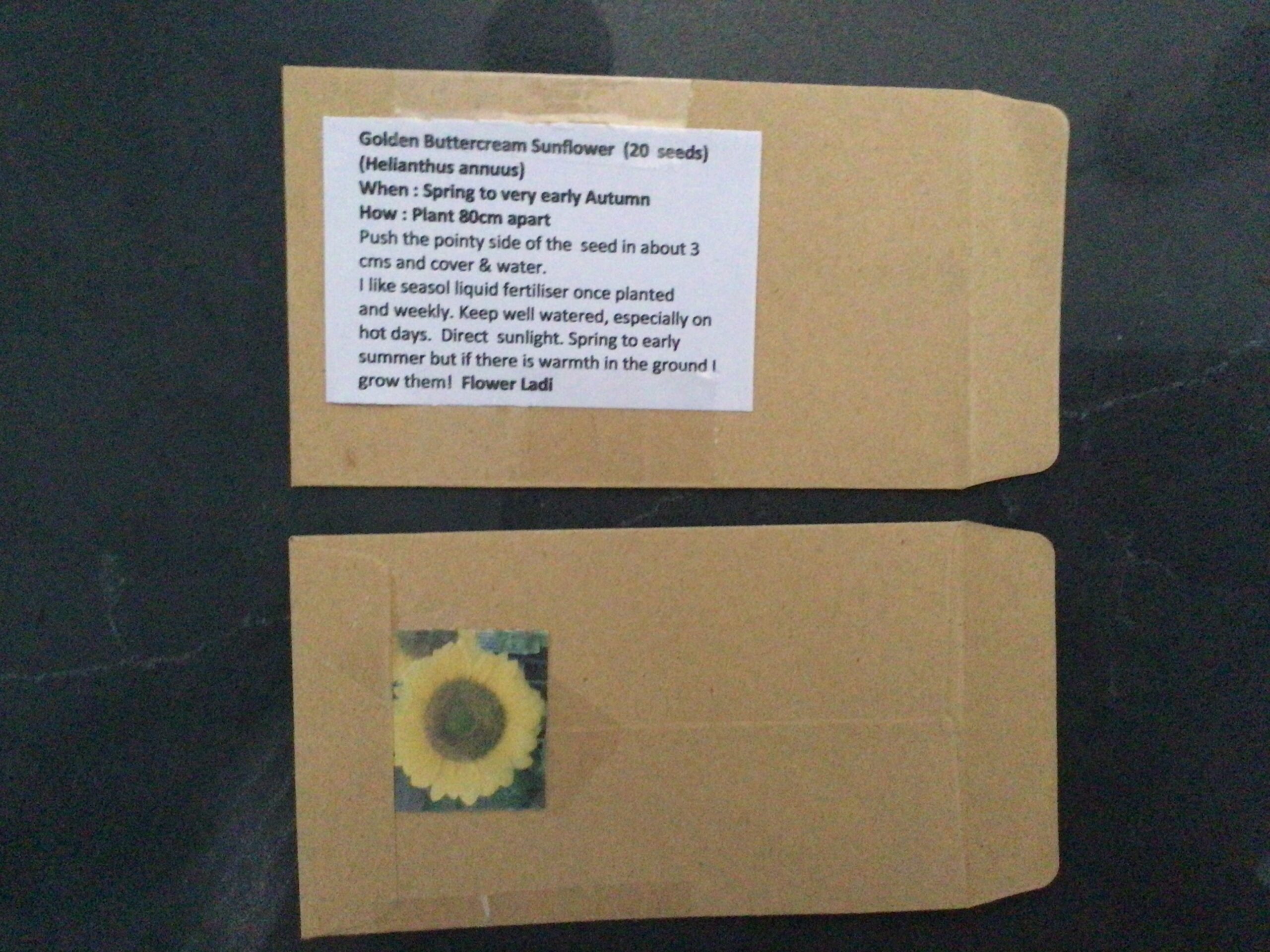 Golden Buttercream Sunflower (free Hollyhock) Golden Buttercream Sunflower (free Hollyhock) - Image 3