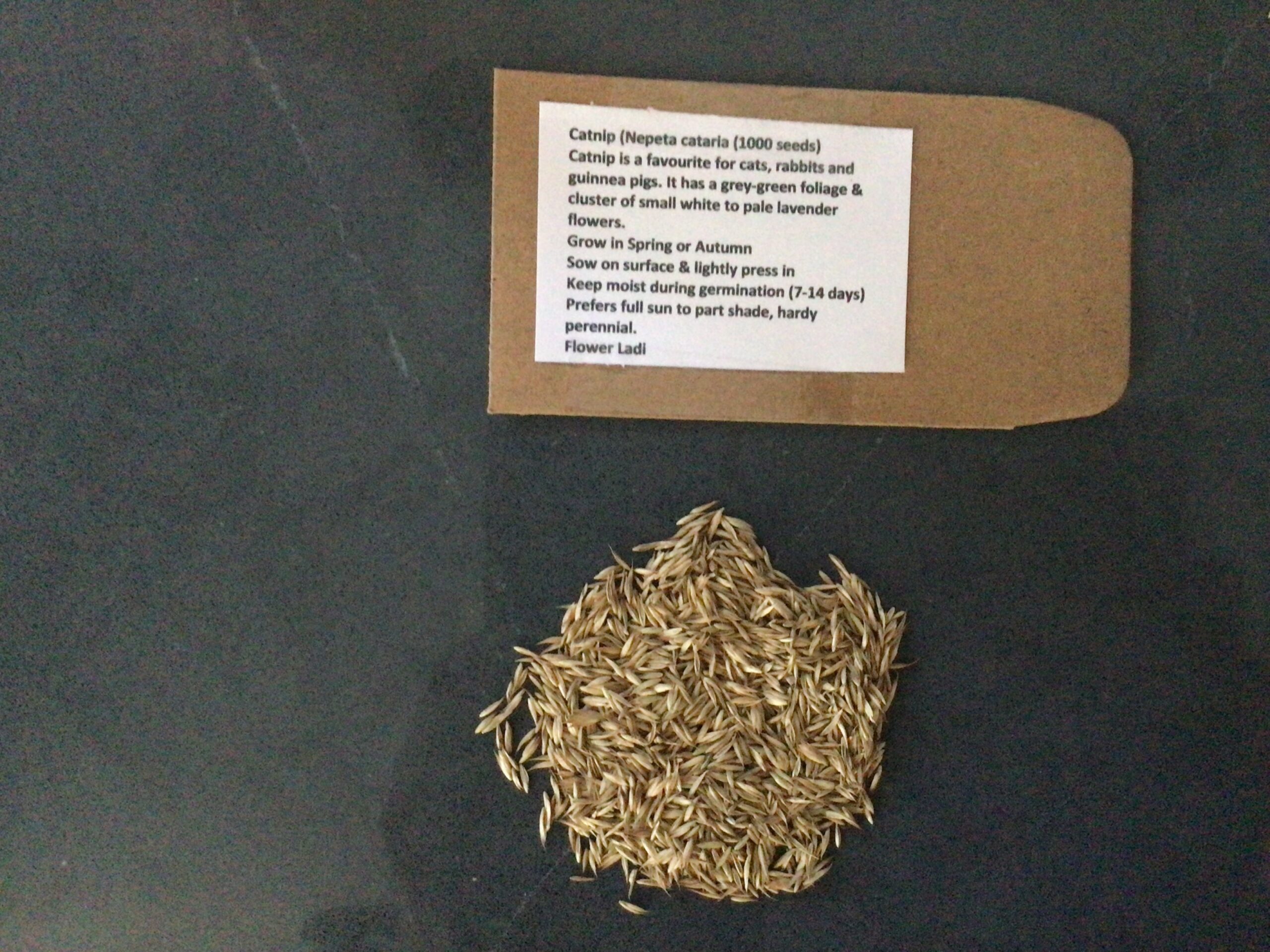 Catnip (1000) Catnip (1000)
