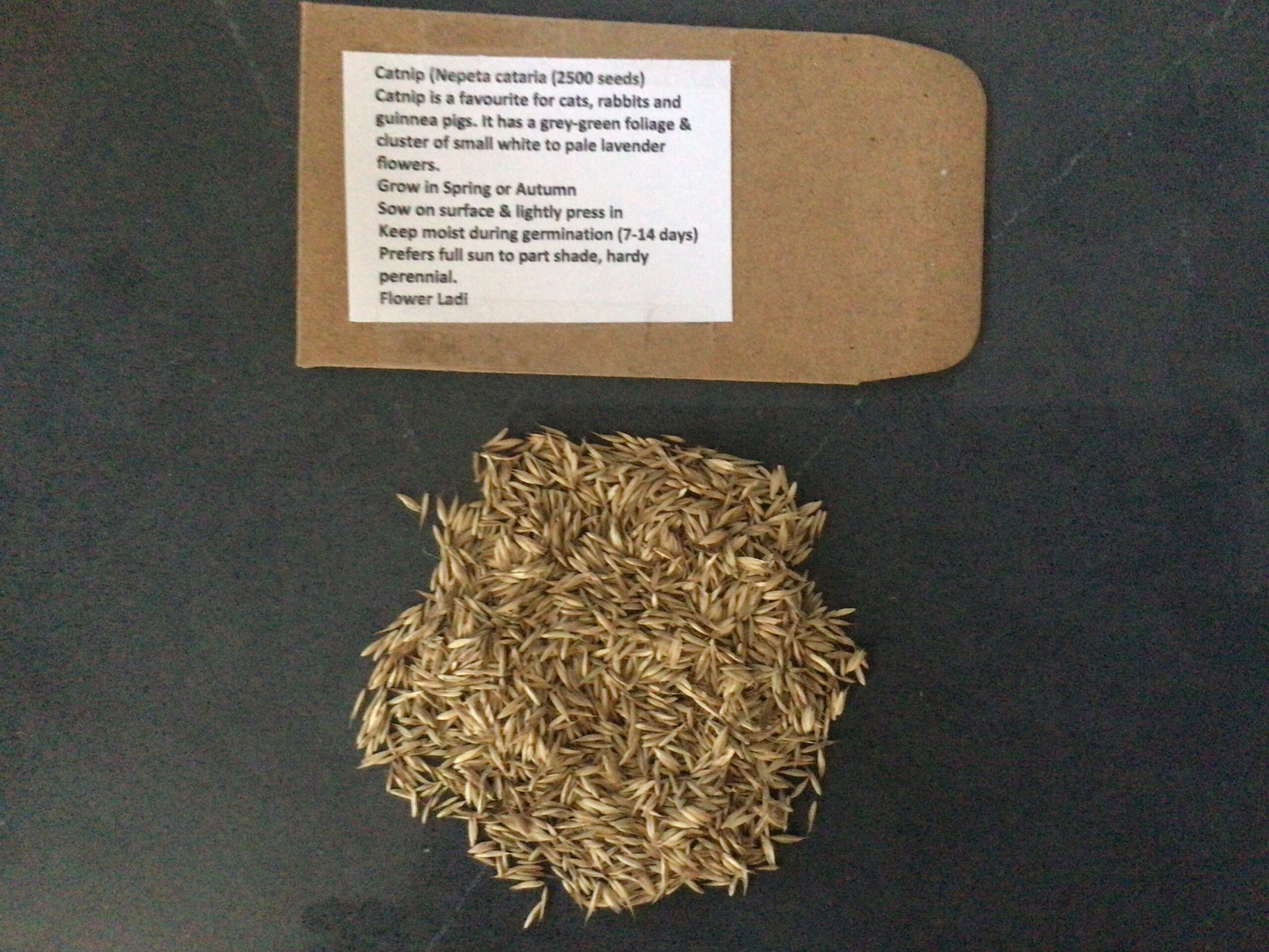 Catnip (2500) Catnip (2500)
