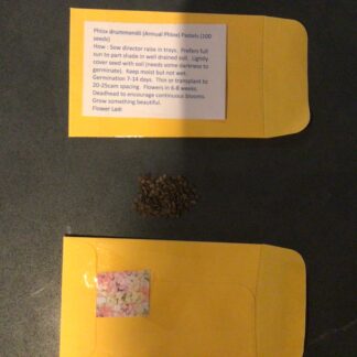 Phlox Drummondii Mixed (free Everlasting)