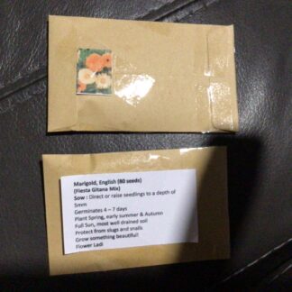 English Marigold (free Aster)