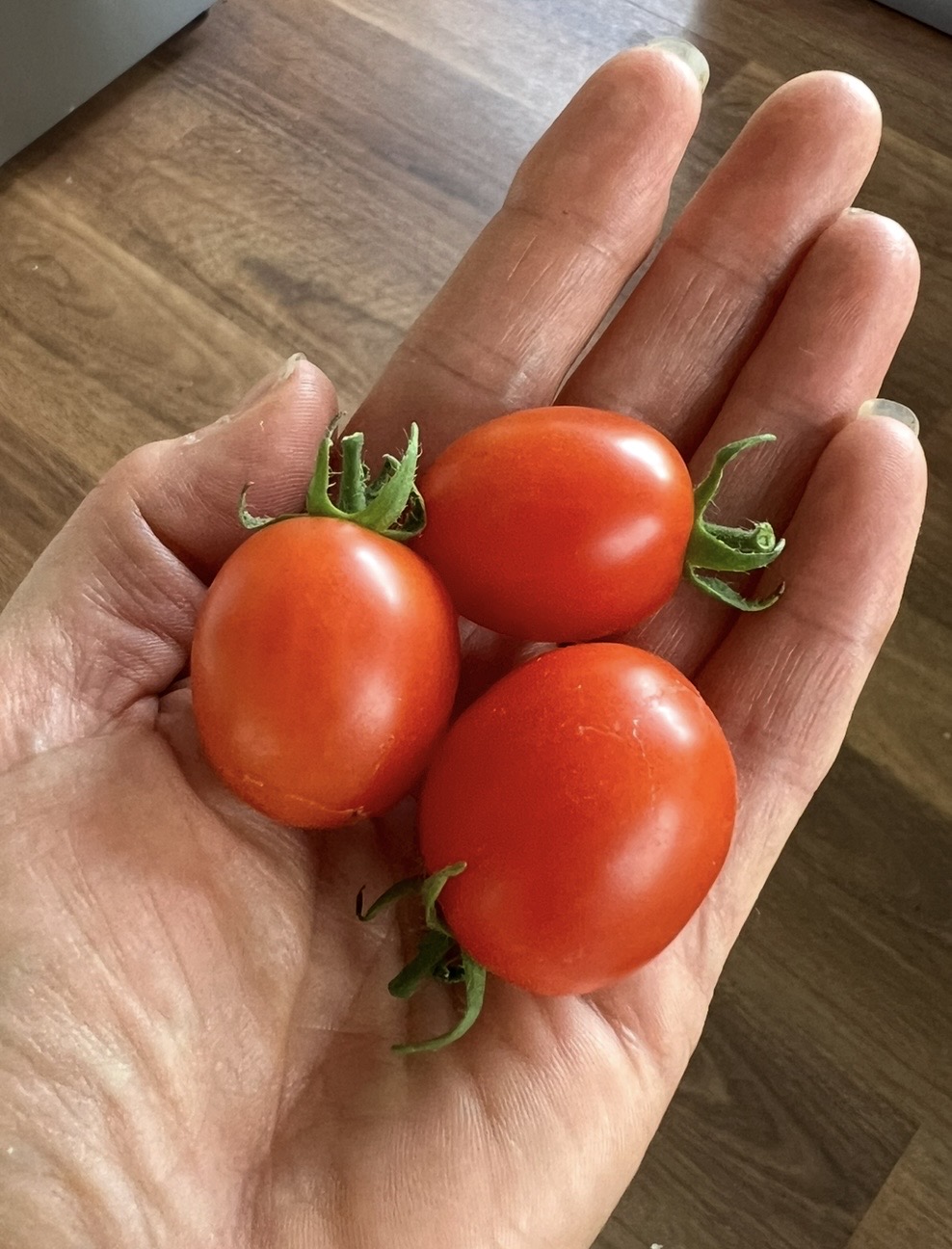 Principe Borghese Tomato Principe Borghese Tomato - Image 2