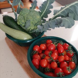 Home Principe Borghese Tomato