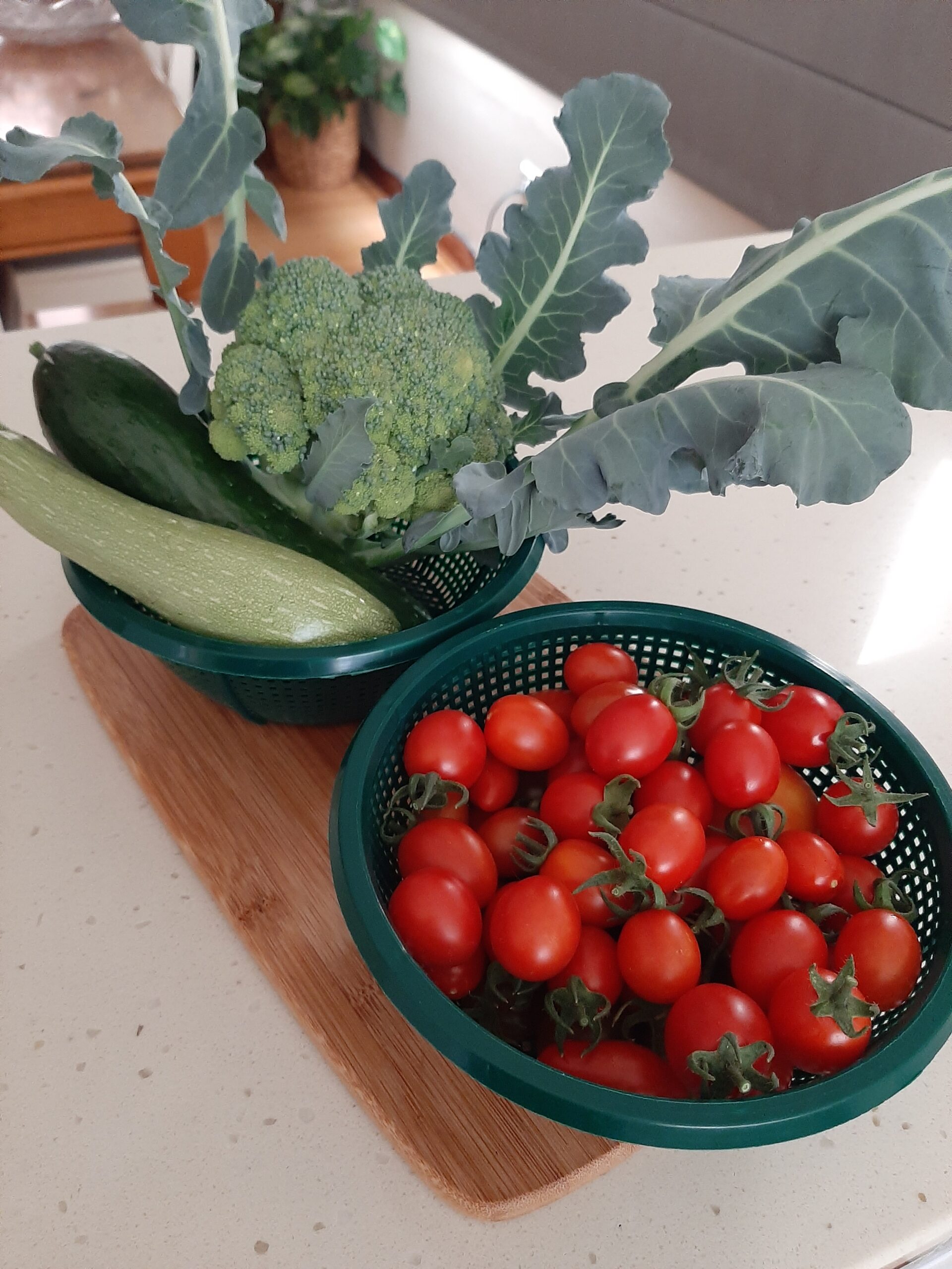 Principe Borghese Tomato Principe Borghese Tomato