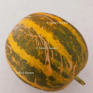 Home Kakiri / Indian Cucumber / Dosakaya