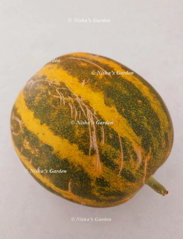 Kakiri / Indian Cucumber / Dosakaya Kakiri / Indian Cucumber / Dosakaya