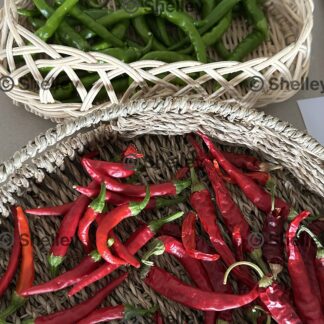 Indian Green Chilli, Cayenne Pepper Green/Red