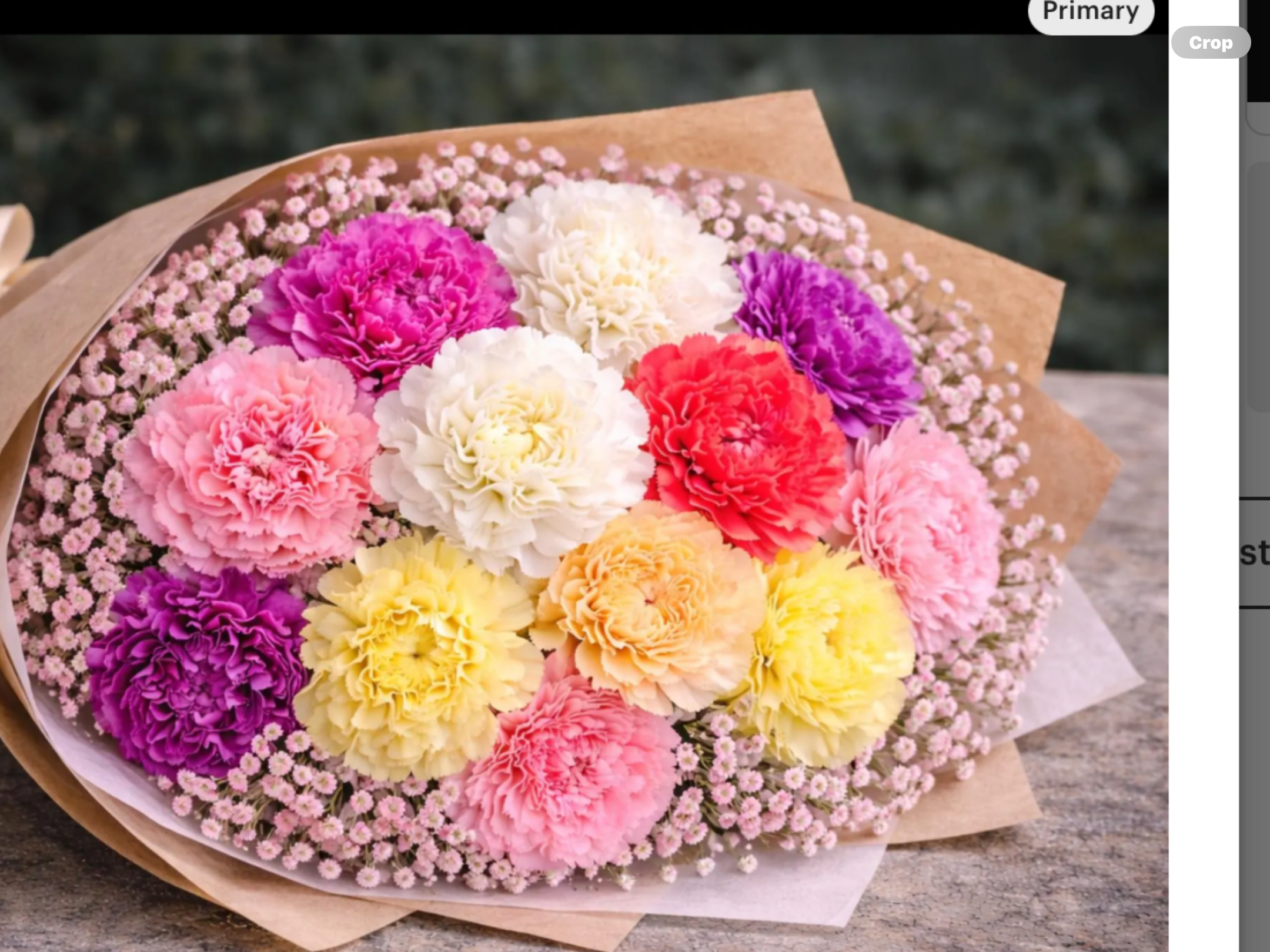 Carnation With Pink Gypsum Carnation With Pink Gypsum - Image 2