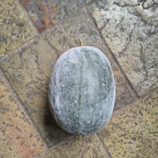 Home Winter Melon / Ash Gourd / Wax Gourd (Benincasa Hispida)