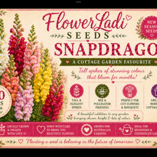 Snapdragons (free Celosia)