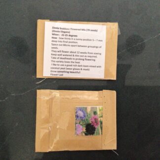 Scabiosa Zinnia (free Pink Cornflower)