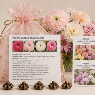 Home Pastel Shades Ranunculus Corms & Seed Gift Bag