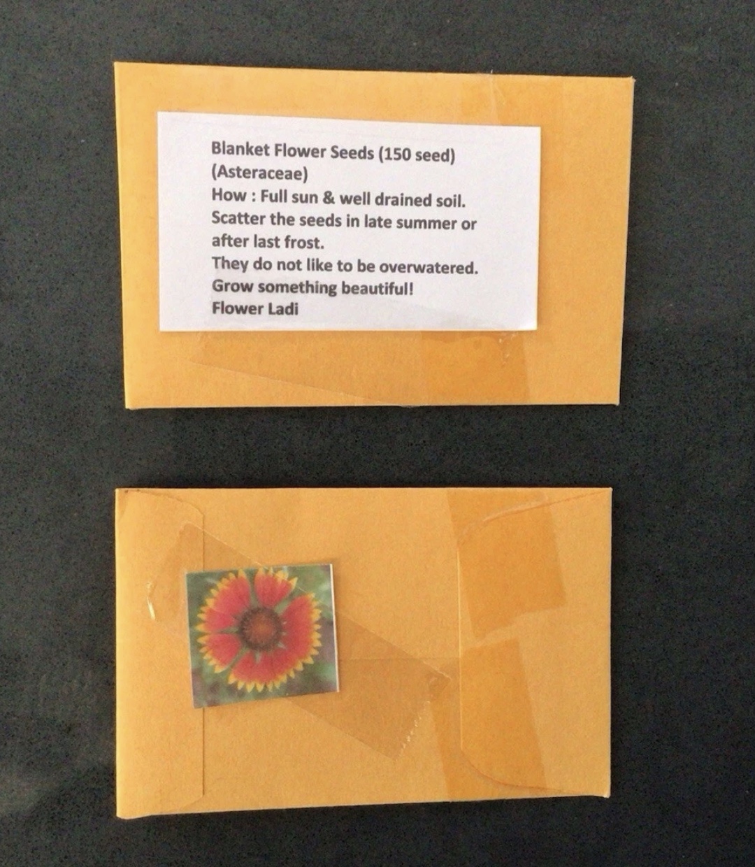 Indian Blanket (free Hollyhock) Indian Blanket (free Hollyhock) - Image 4