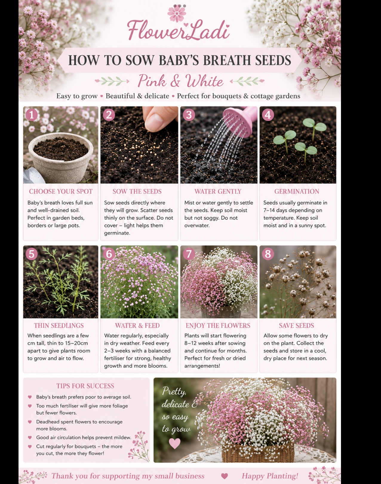 Candy Stripe Cosmos & Pink Baby's Breath (free Snapdragons) Candy Stripe Cosmos & Pink Baby's Breath (free Snapdragons) - Image 3