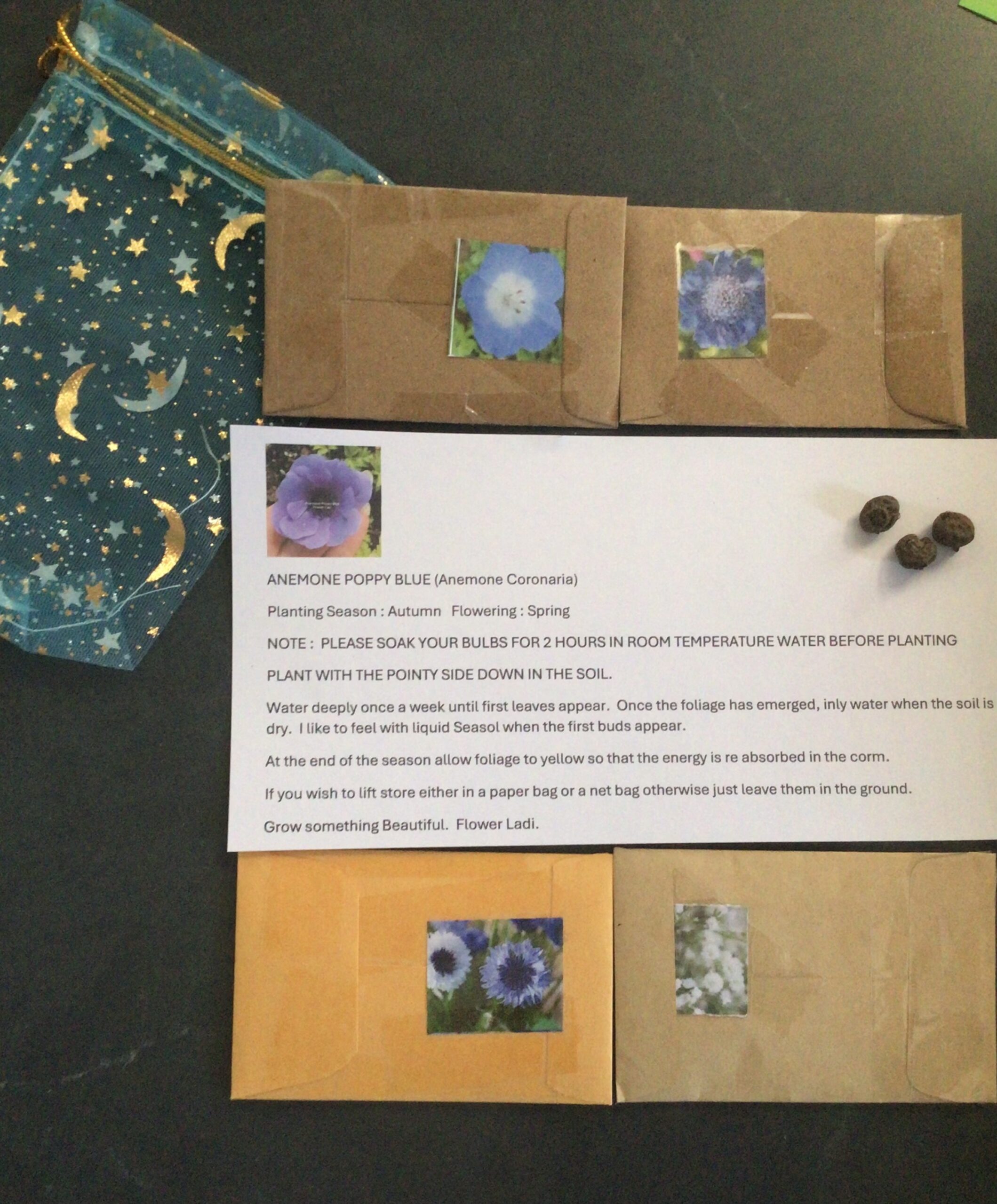 Blue Corm & Seed Cottage Gift Pack Blue Corm & Seed Cottage Gift Pack - Image 2