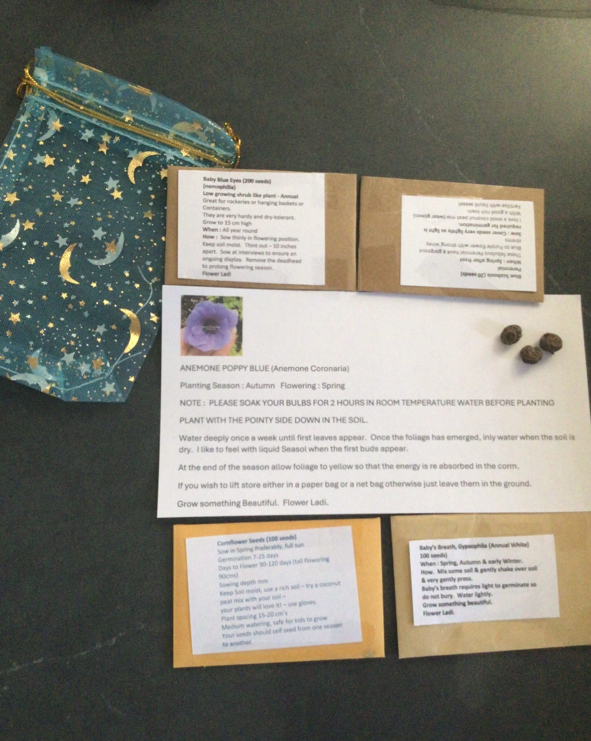 Blue Corm & Seed Cottage Gift Pack Blue Corm & Seed Cottage Gift Pack - Image 3