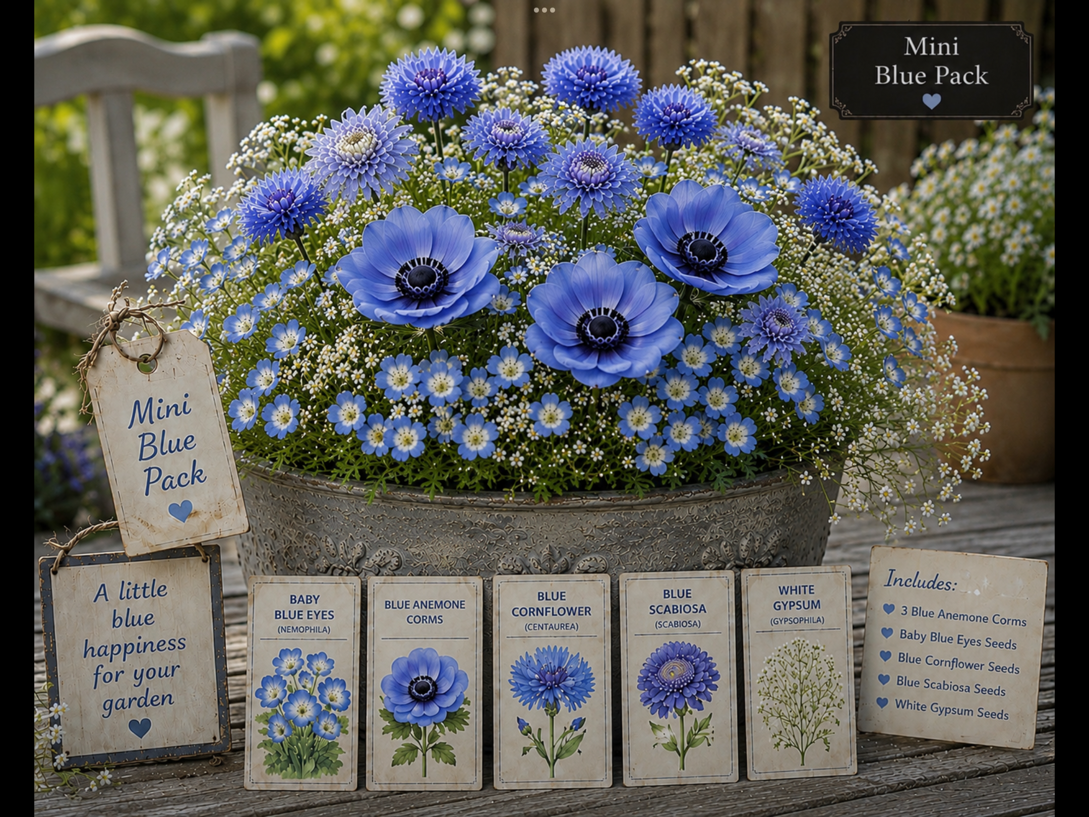Blue Corm & Seed Cottage Gift Pack Blue Corm & Seed Cottage Gift Pack
