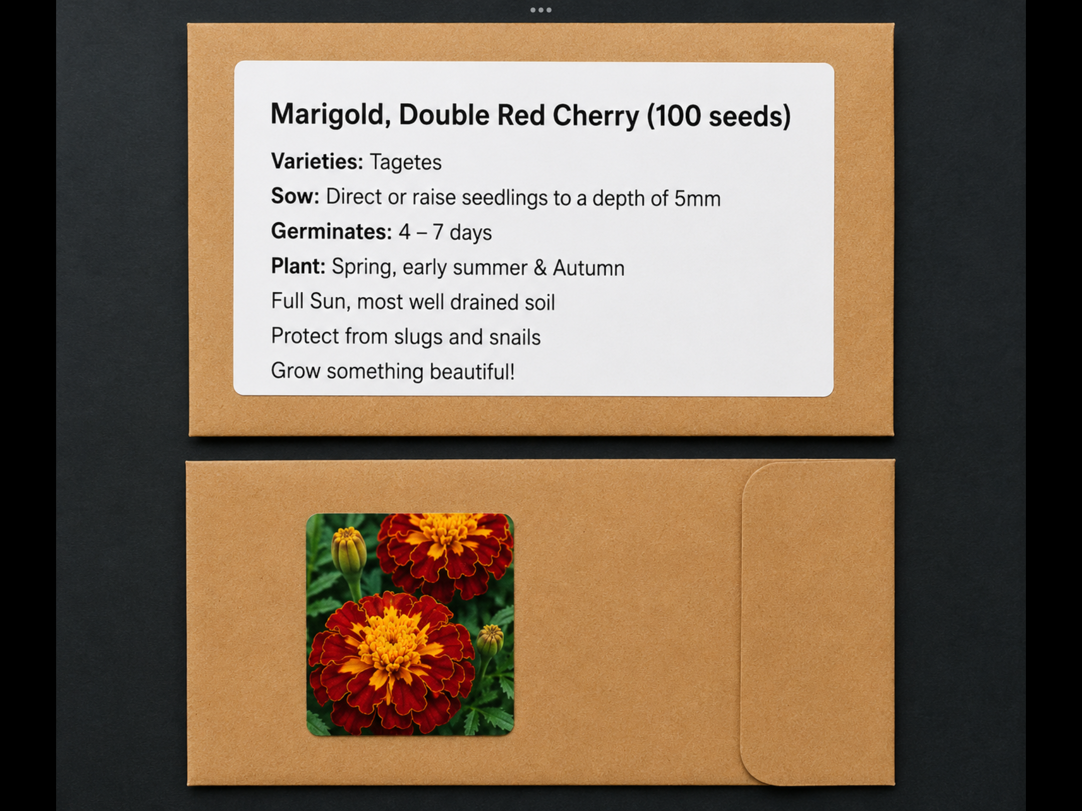 French Marigold French Marigold - Image 3