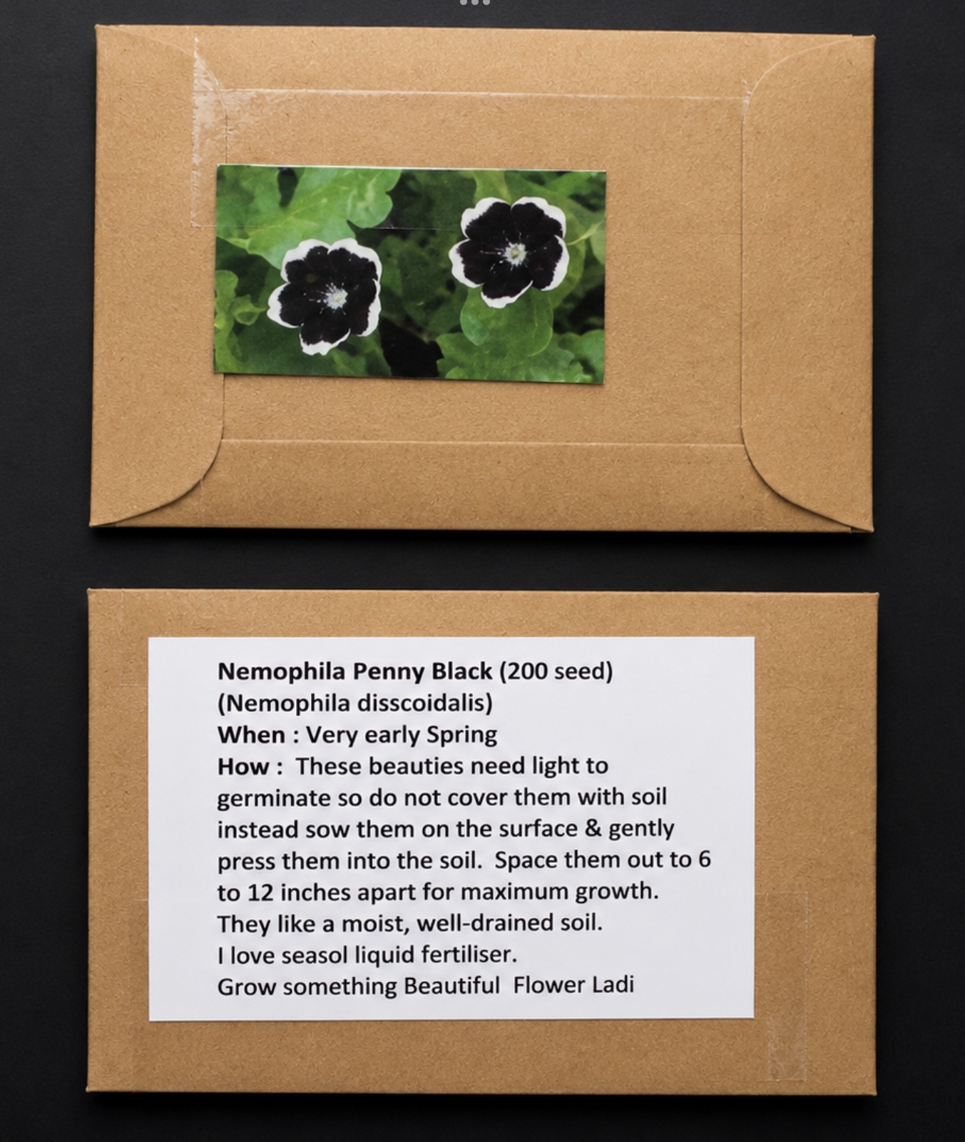 Penny Black Nemophila (free Snapdragons) Penny Black Nemophila (free Snapdragons) - Image 3